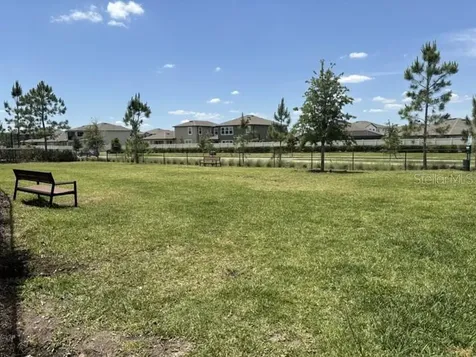 3091 Marine Grass Drive Wimauma FL 33598
