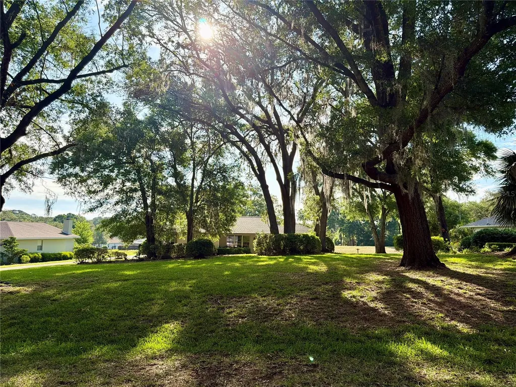 8985 SW 196th Terrace Road Dunnellon FL 34432