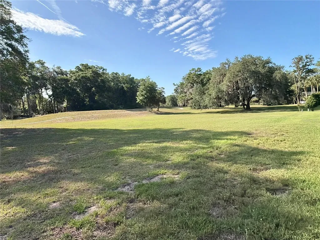 8985 SW 196th Terrace Road Dunnellon FL 34432