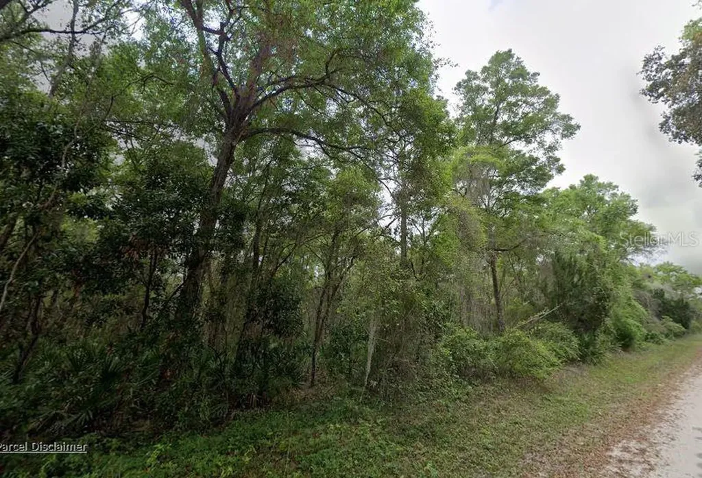 88 NE 463rd Avenue Old Town FL 32680