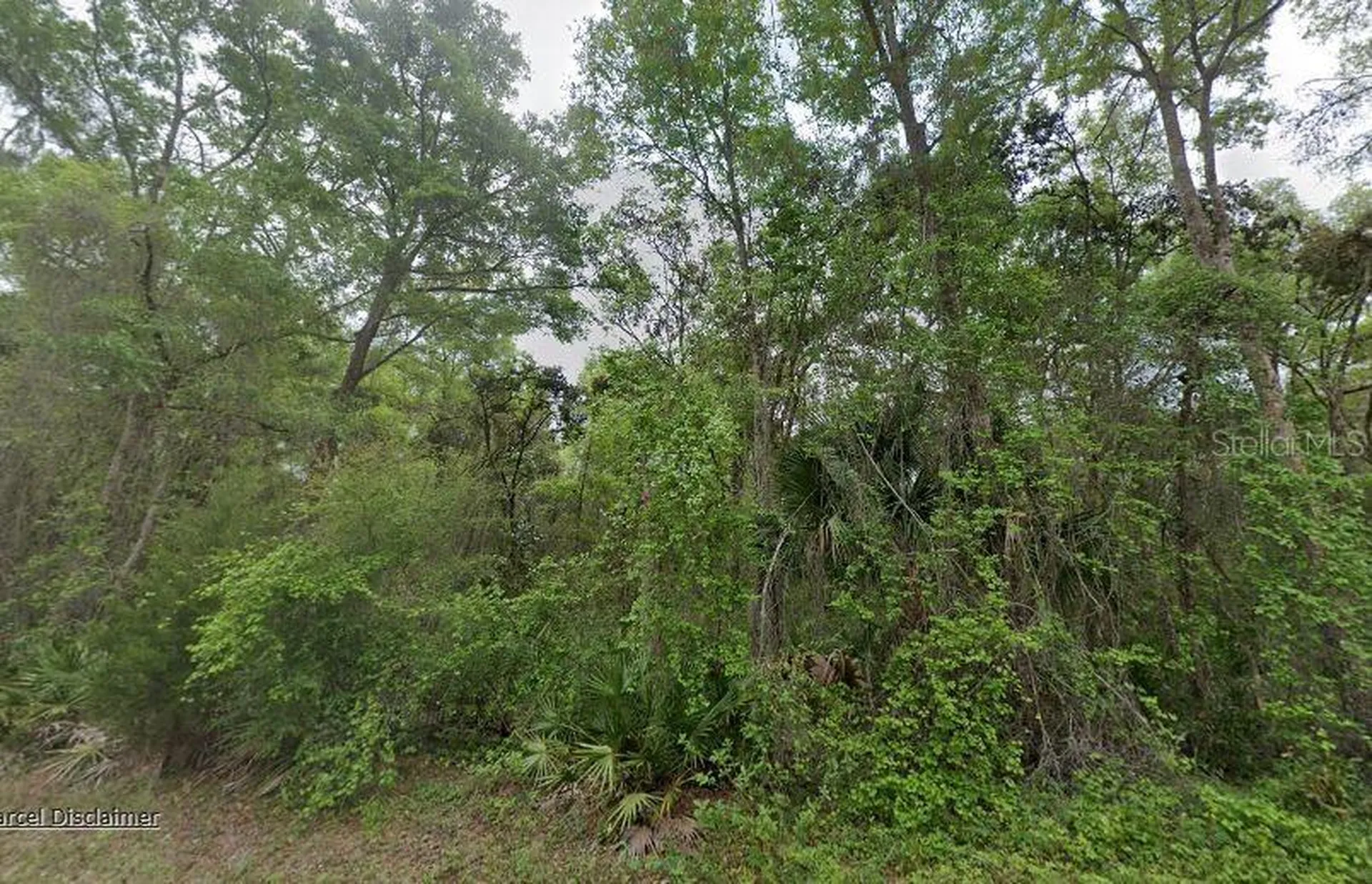 88 NE 463rd Avenue Old Town FL 32680