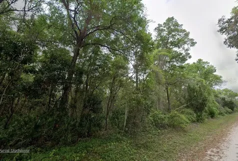 88 NE 463rd Avenue Old Town FL 32680
