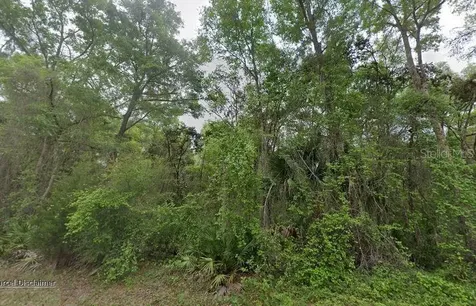 88 NE 463rd Avenue Old Town FL 32680