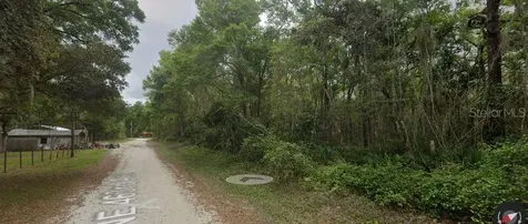 88 NE 463rd Avenue Old Town FL 32680