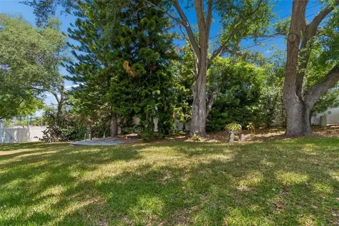 1319 Abbey Crescent Lane Clearwater FL 33759