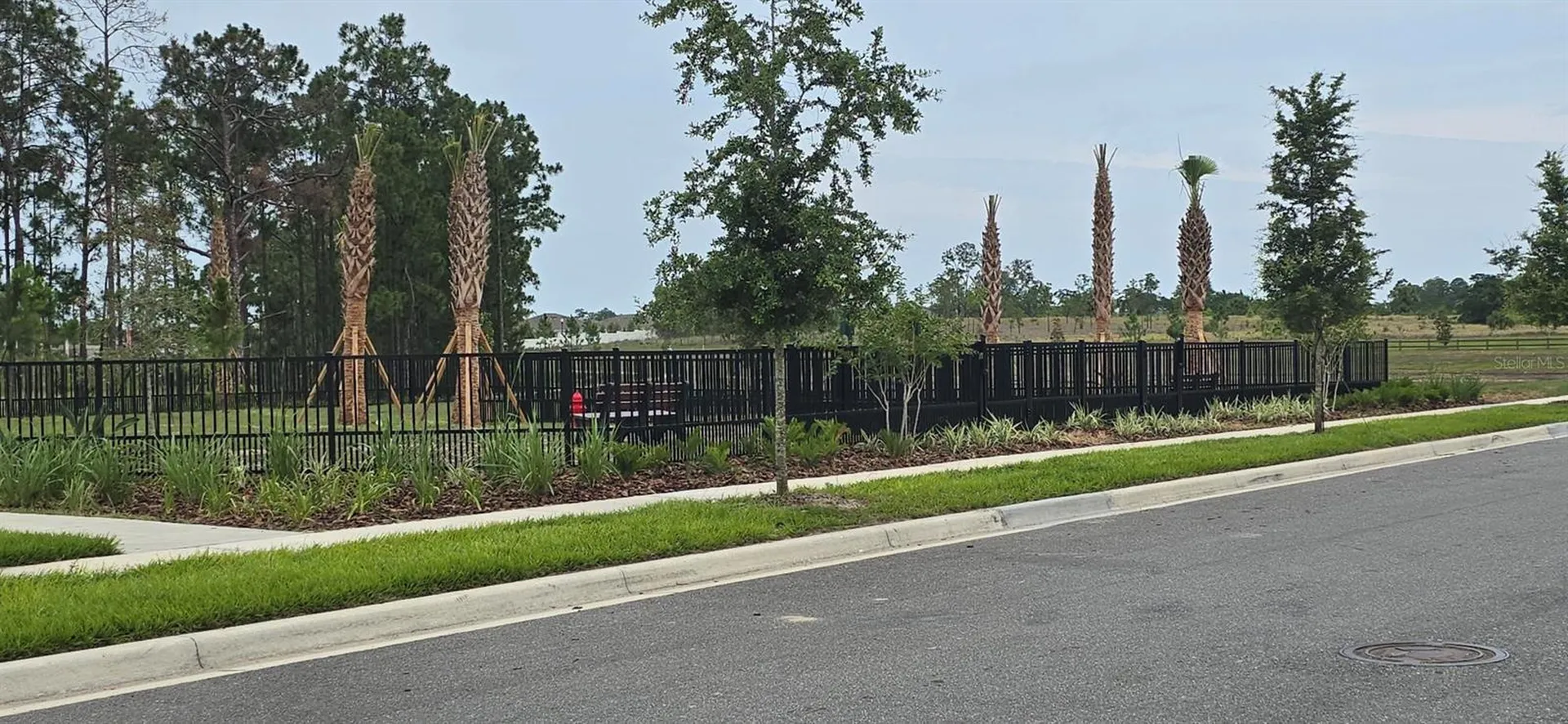 13552 Autumn Harvest Avenue Winter Garden FL 34787