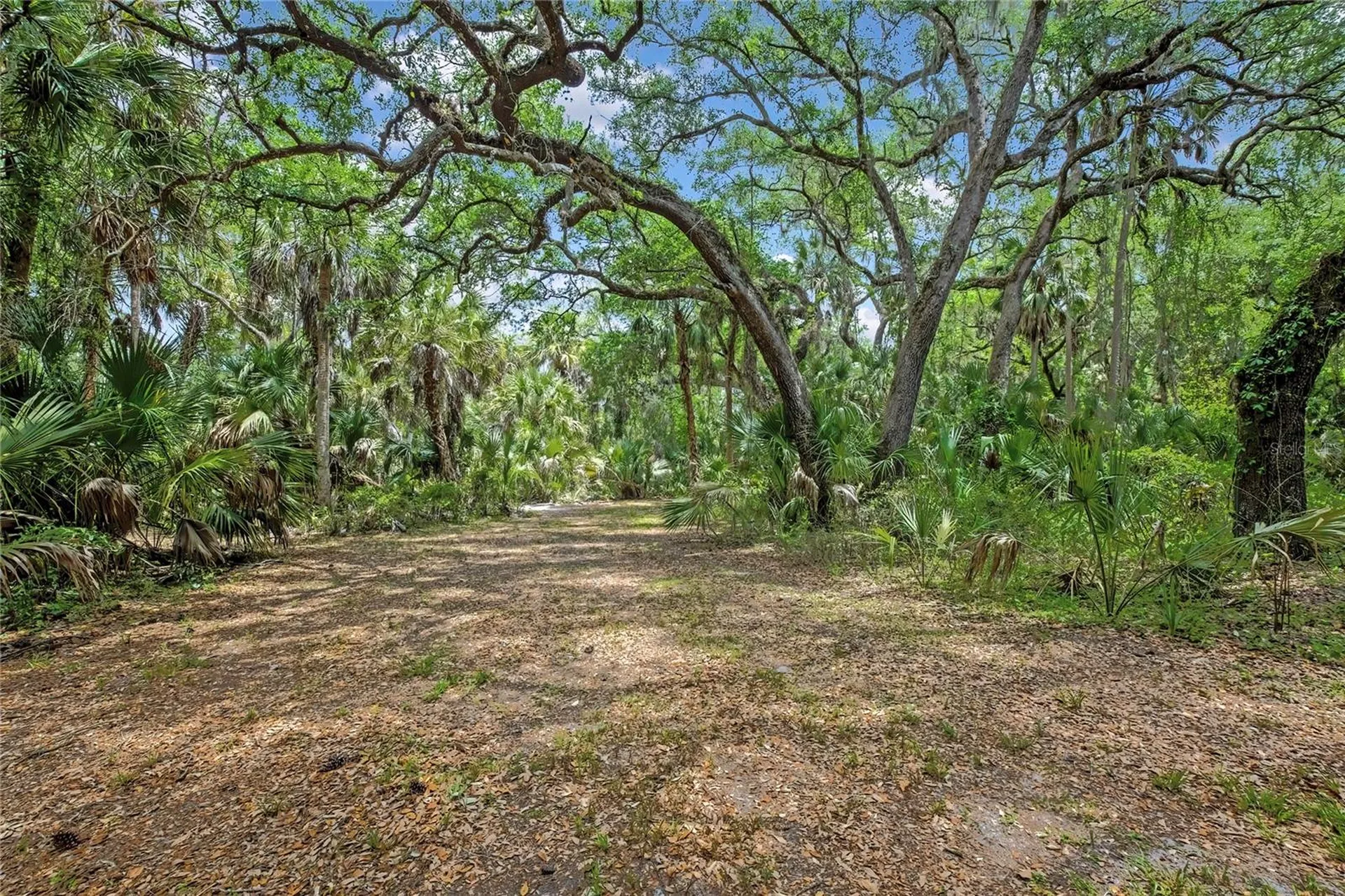 6699 N Broken Arrow Trail Hernando FL 34442