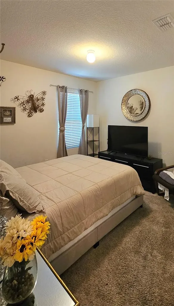 2459 Valhalla Drive Tavares FL 32778