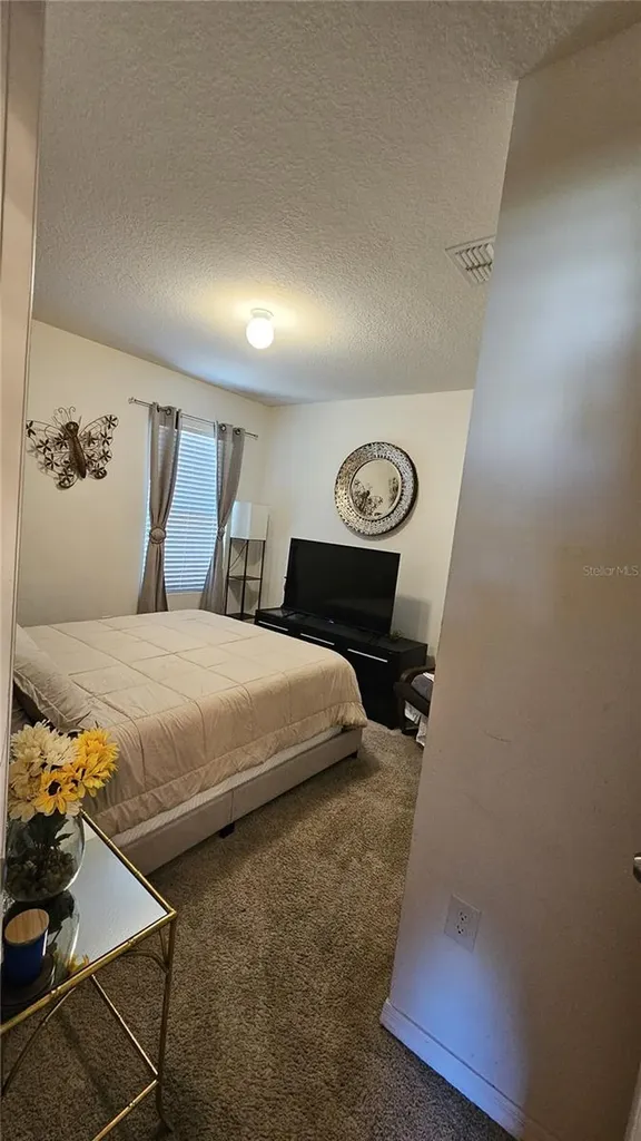 2459 Valhalla Drive Tavares FL 32778