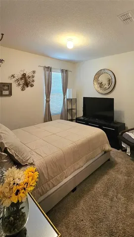 2459 Valhalla Drive Tavares FL 32778