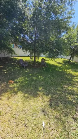 2459 Valhalla Drive Tavares FL 32778