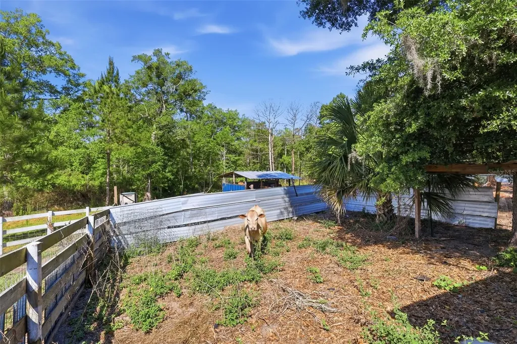 1898 Blackwelder Road De Leon Springs FL 32130