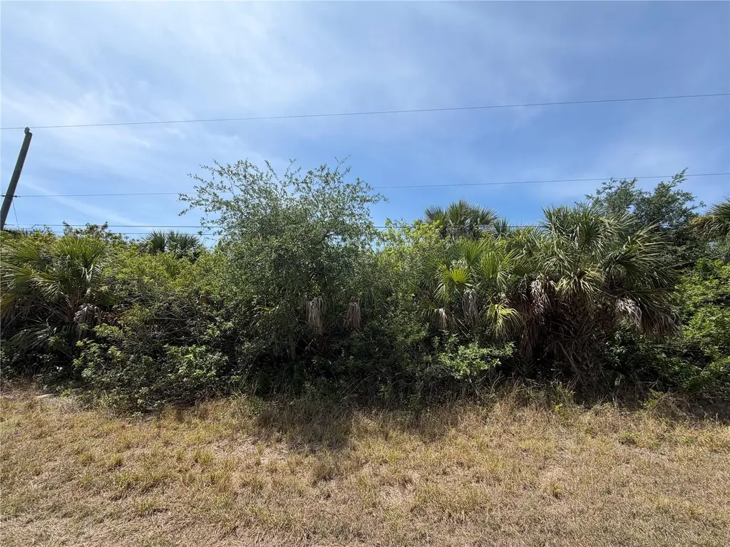 17163 Edgewater Drive Port Charlotte FL 33948