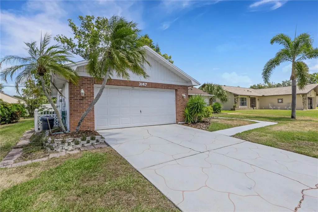 3147 E Dorchester Drive Palm Harbor FL 34684