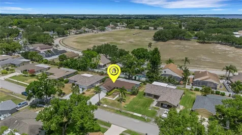 3147 E Dorchester Drive Palm Harbor FL 34684