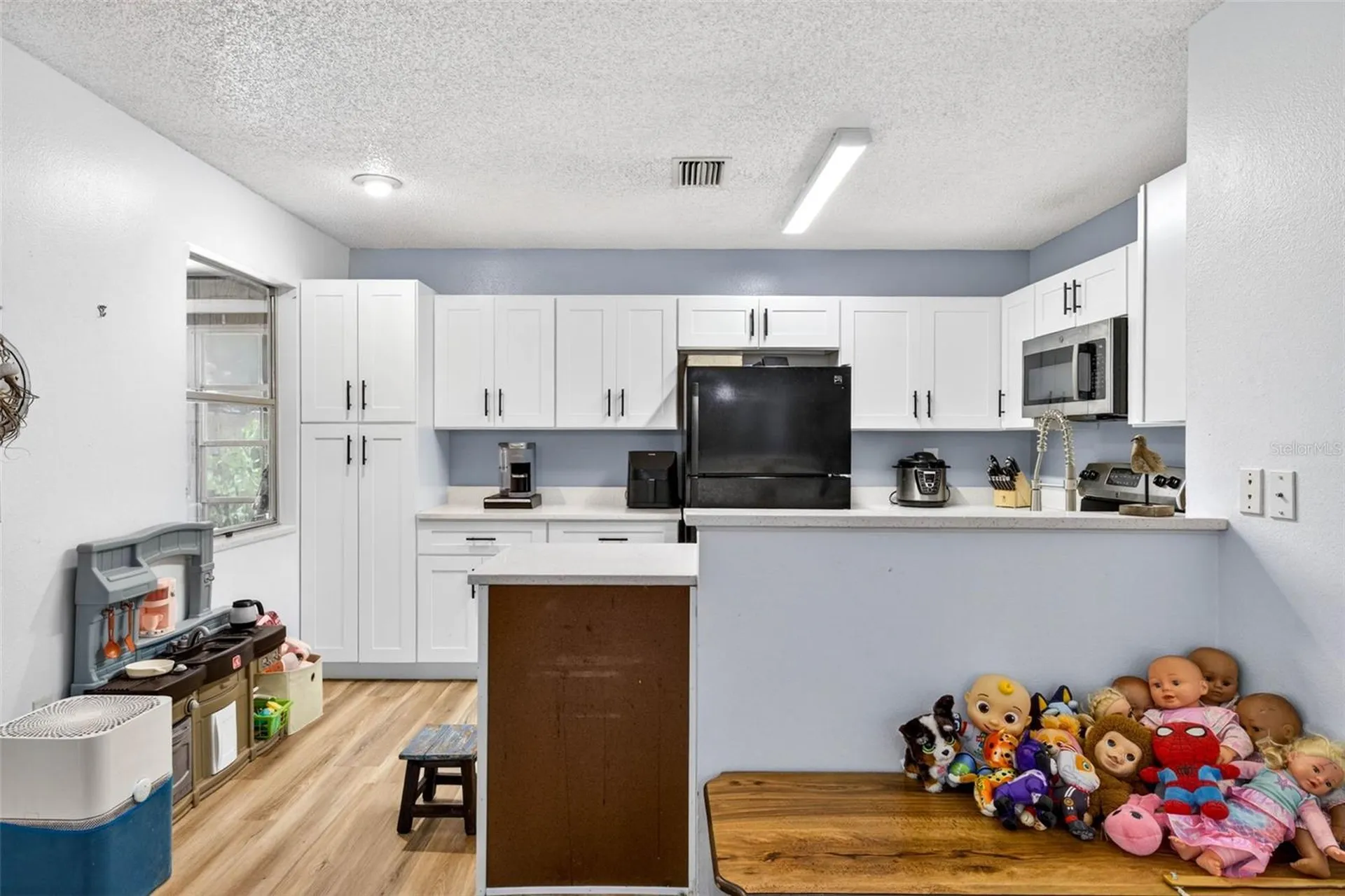 13205 Wagner Drive Hudson FL 34667