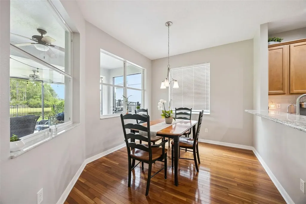 10227 Sandy Marsh Lane Orlando FL 32832