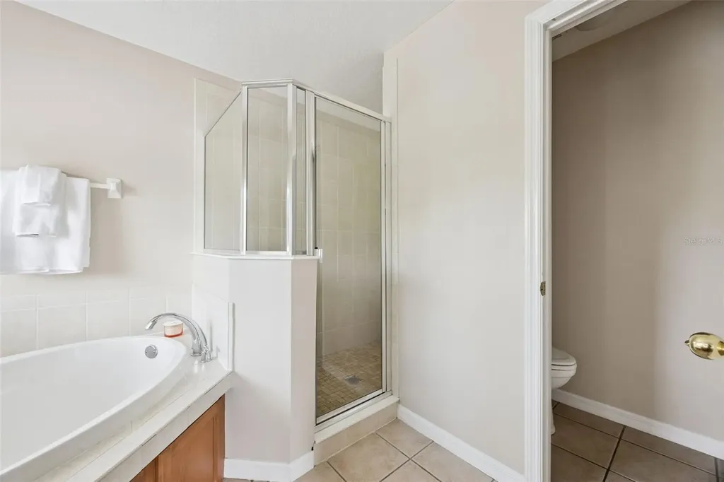 10227 Sandy Marsh Lane Orlando FL 32832