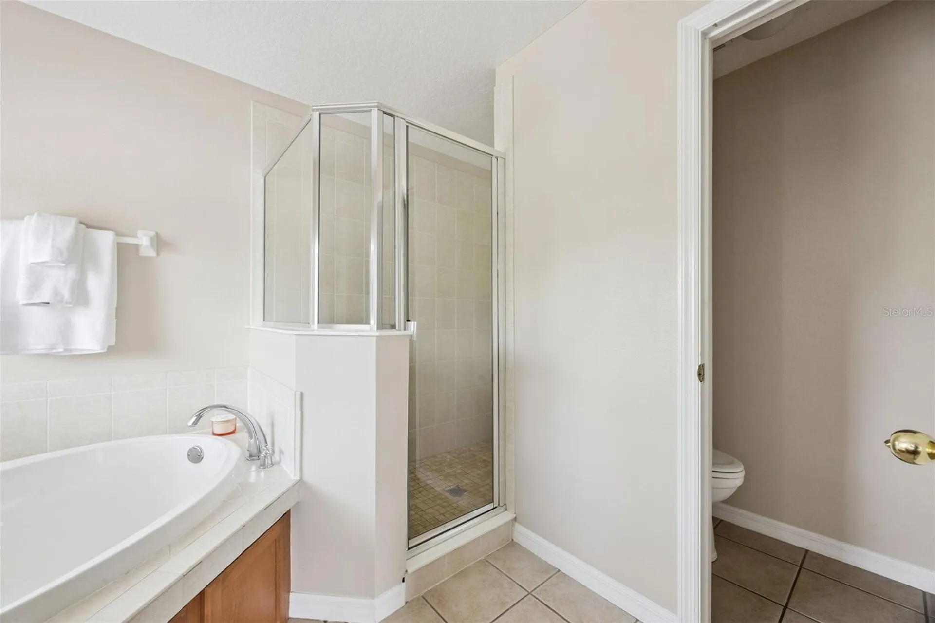 10227 Sandy Marsh Lane Orlando FL 32832