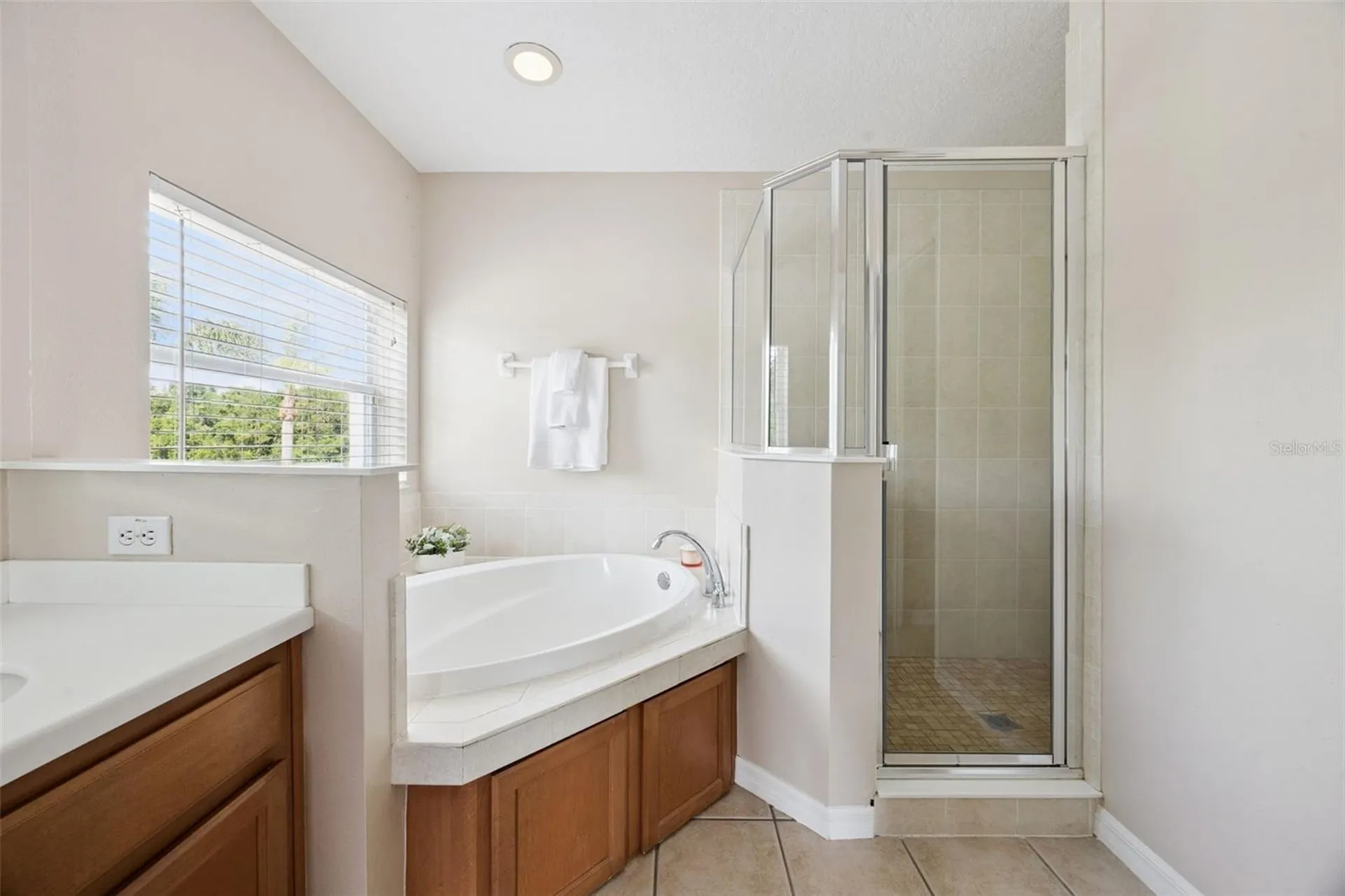 10227 Sandy Marsh Lane Orlando FL 32832