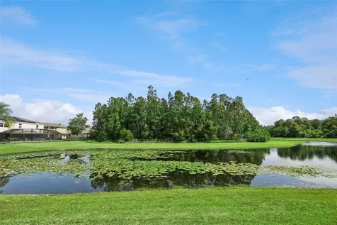 10227 Sandy Marsh Lane Orlando FL 32832