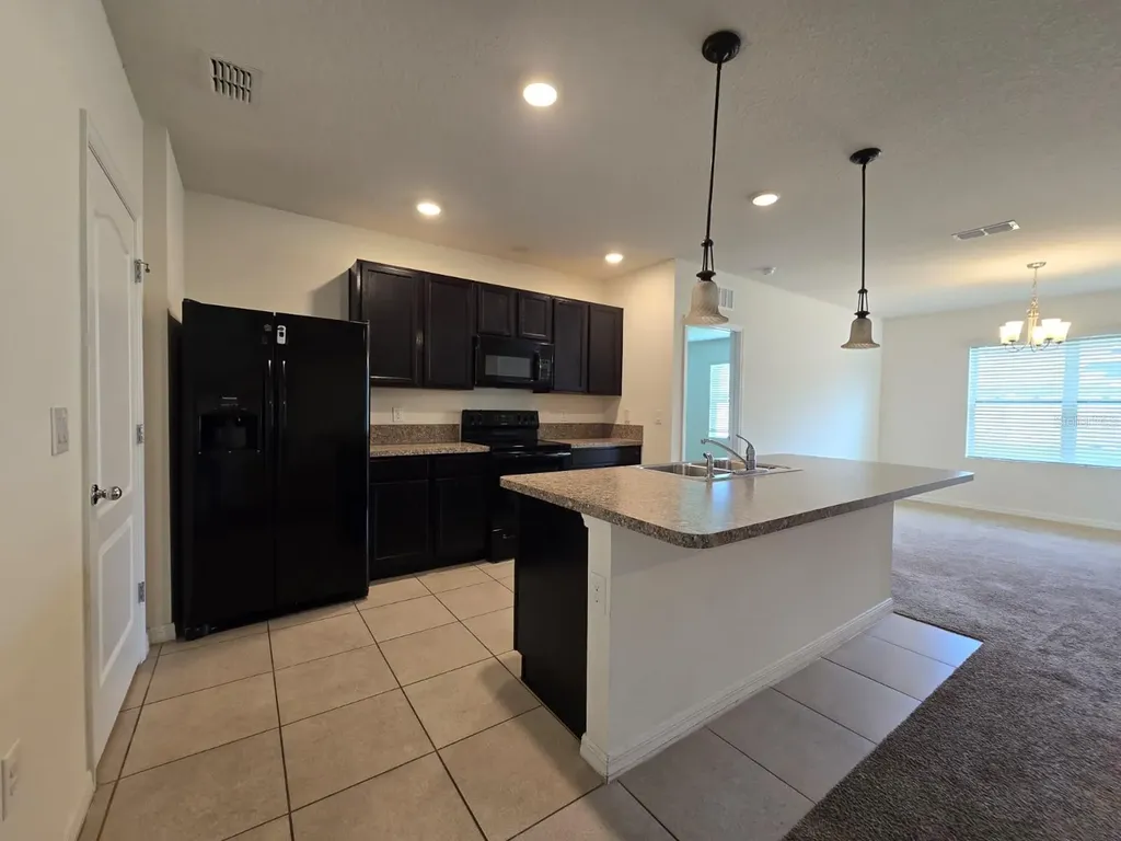 1895 Cassidy Knoll Drive Kissimmee FL 34744