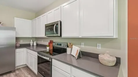 8106 Swan Mist Way Wesley Chapel FL 33545