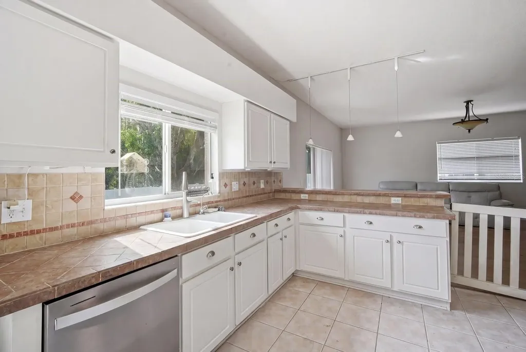 19321 Sandy Springs Circle Lutz FL 33558