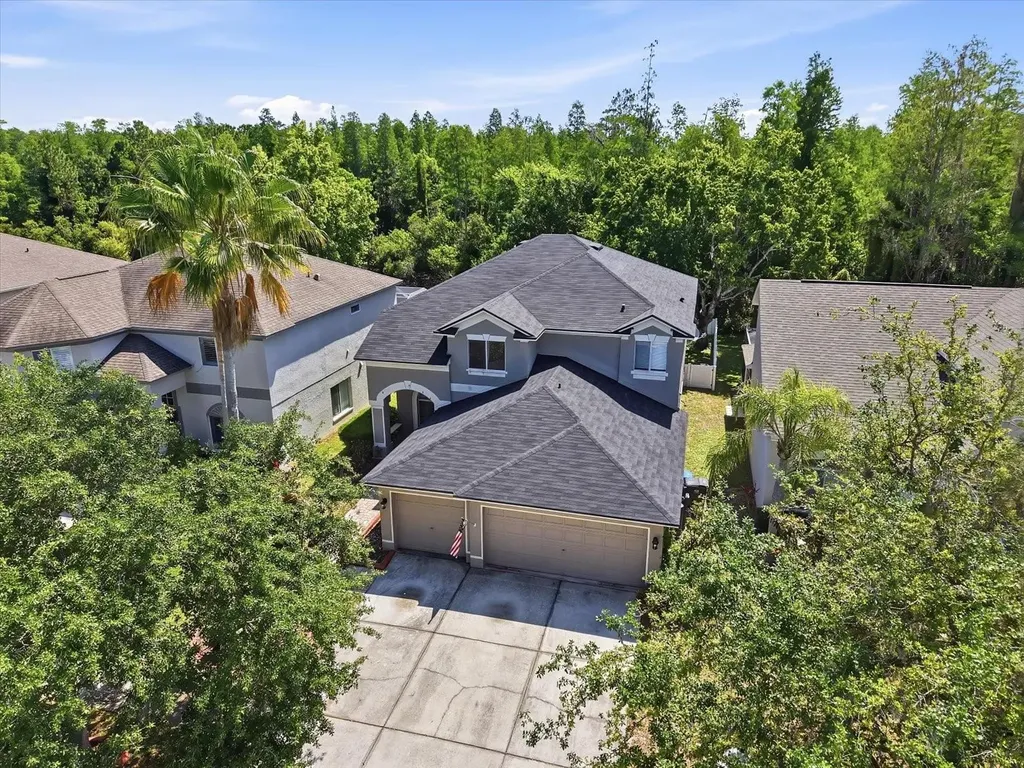 19321 Sandy Springs Circle Lutz FL 33558
