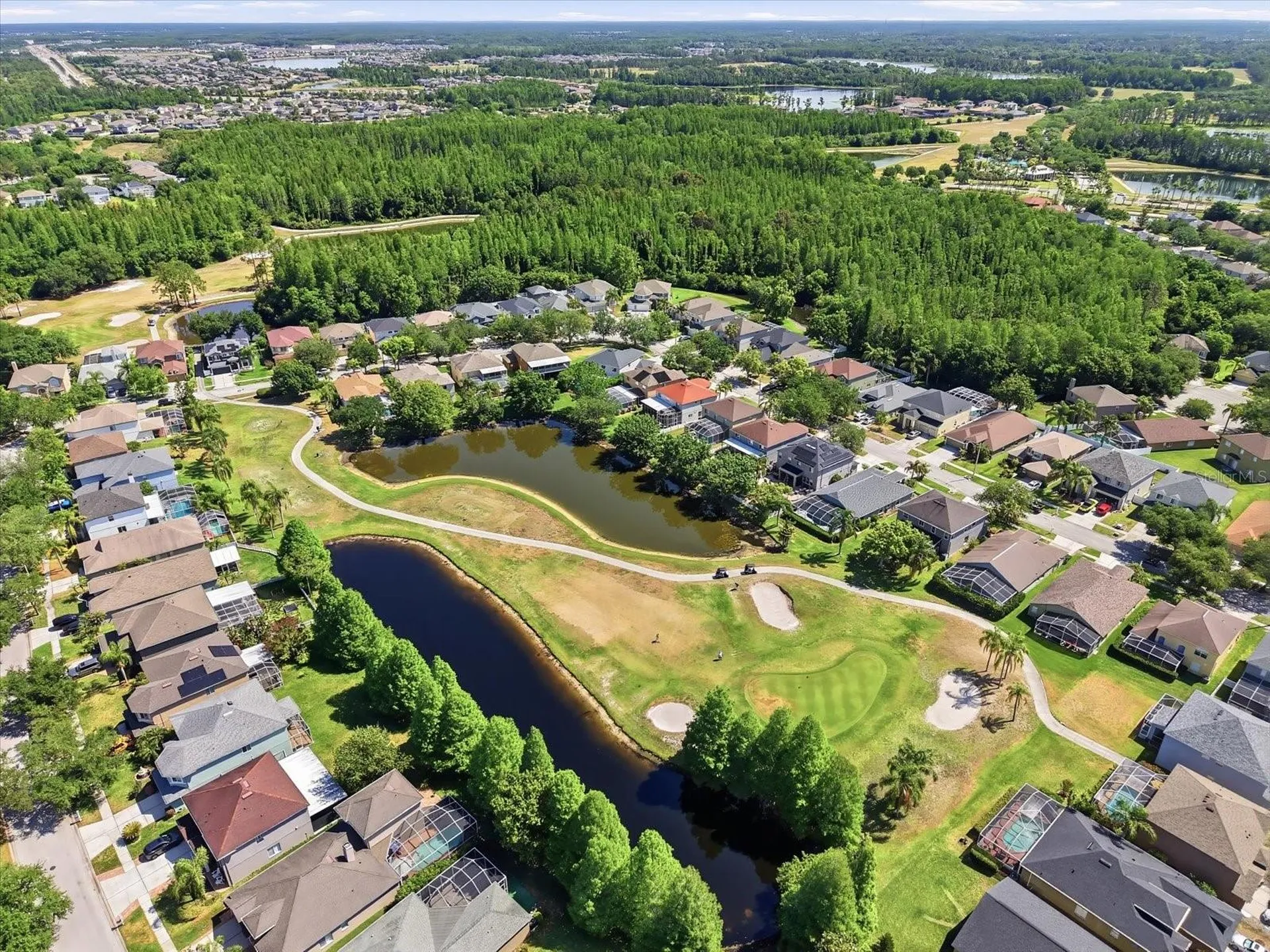 19321 Sandy Springs Circle Lutz FL 33558