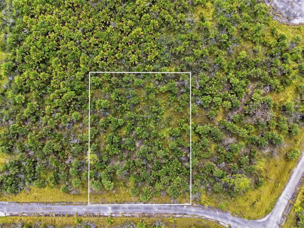 2806 Flameflower Terrace SW Palm Bay FL 32908
