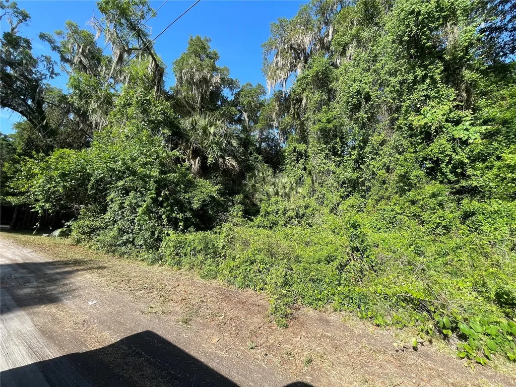 NE 37th Terrace Citra FL 32113