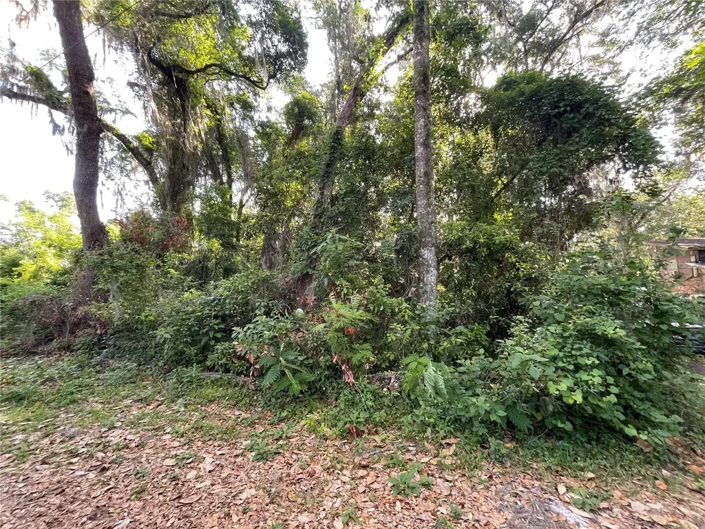 NE 37th Court Citra FL 32113