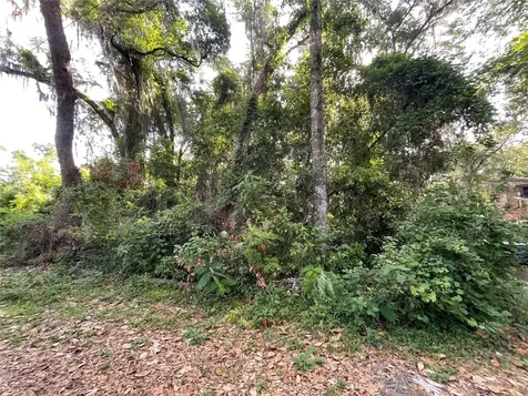 NE 37th Court Citra FL 32113