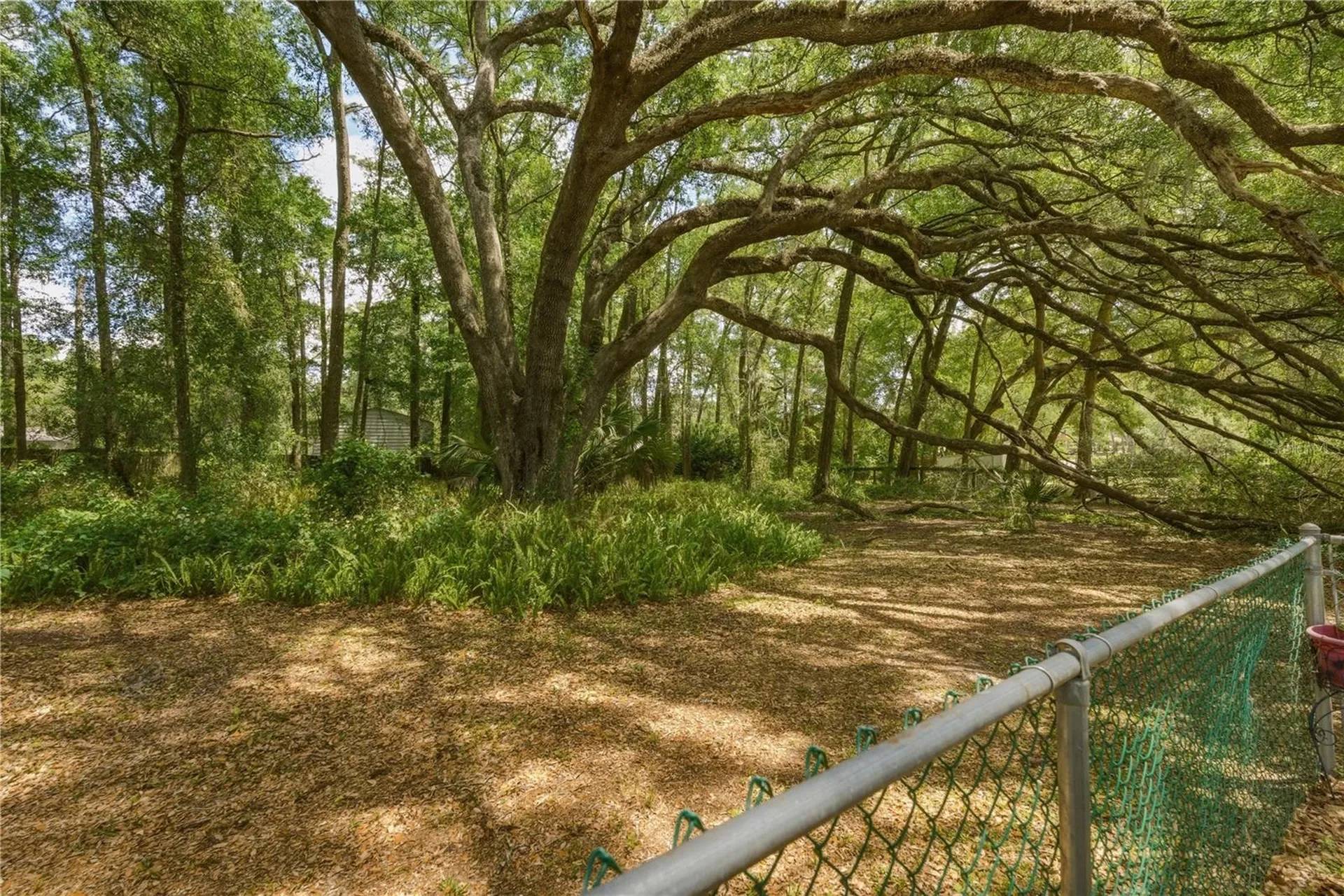 26 Count Fleet Drive Ocala FL 34482