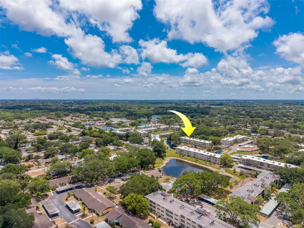 946 Virginia Street Dunedin FL 34698