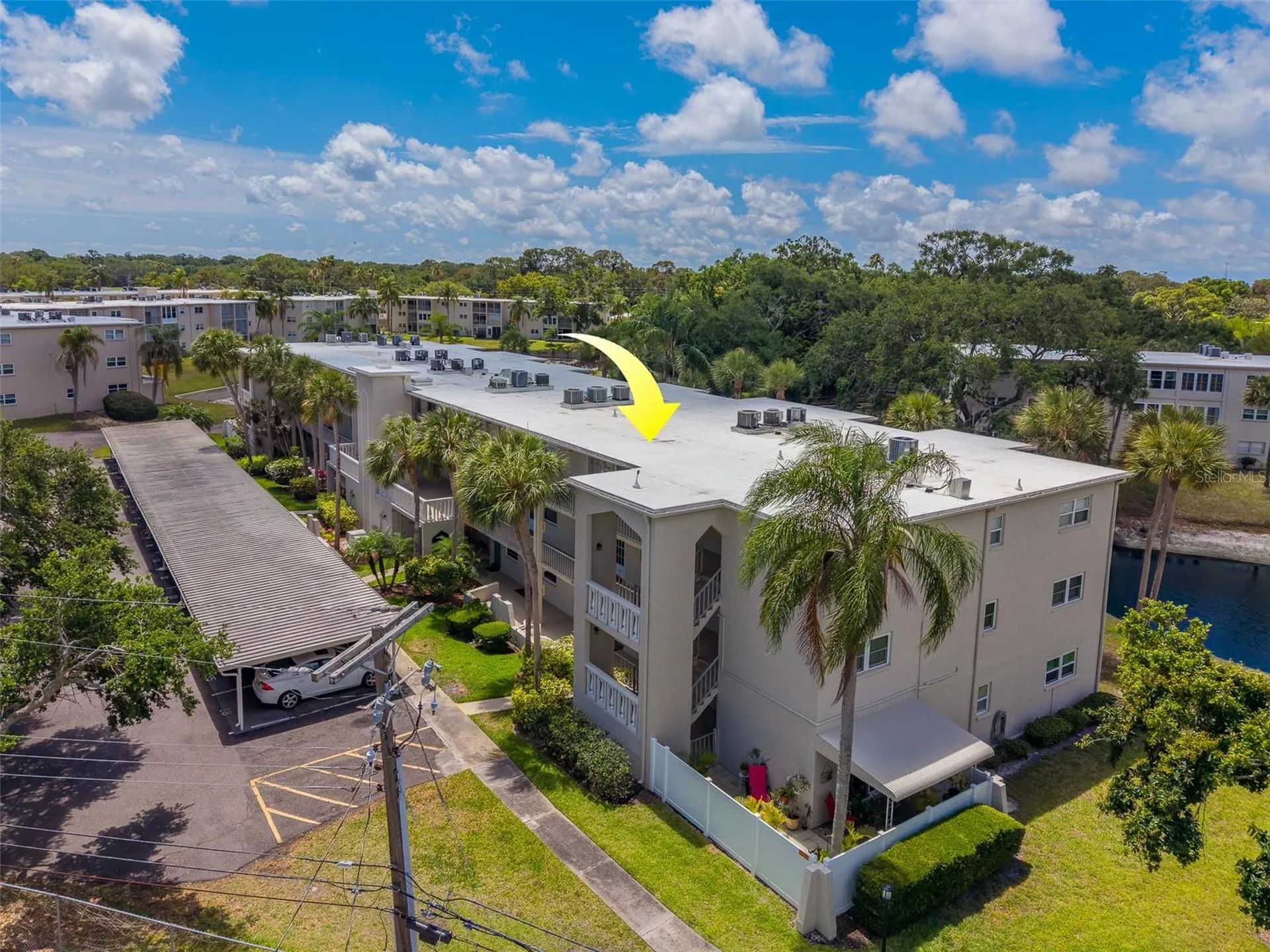 946 Virginia Street Dunedin FL 34698