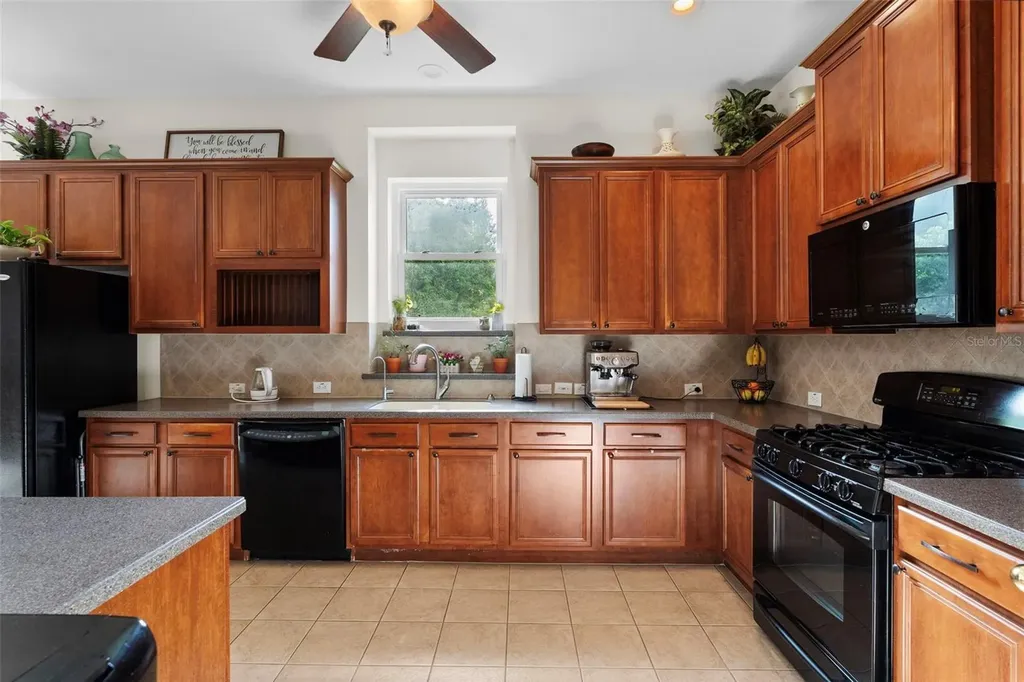8434 Westerland Drive Land O Lakes FL 34637