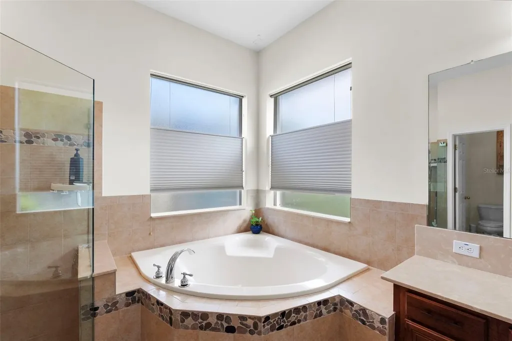 8434 Westerland Drive Land O Lakes FL 34637