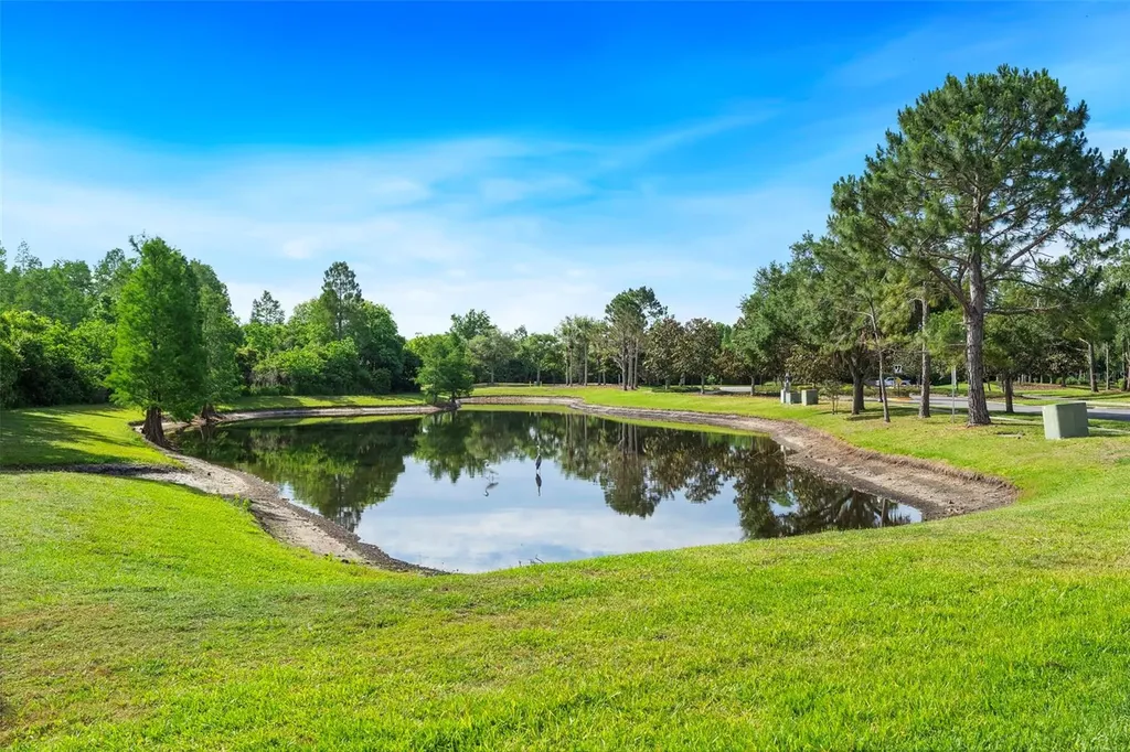 8434 Westerland Drive Land O Lakes FL 34637