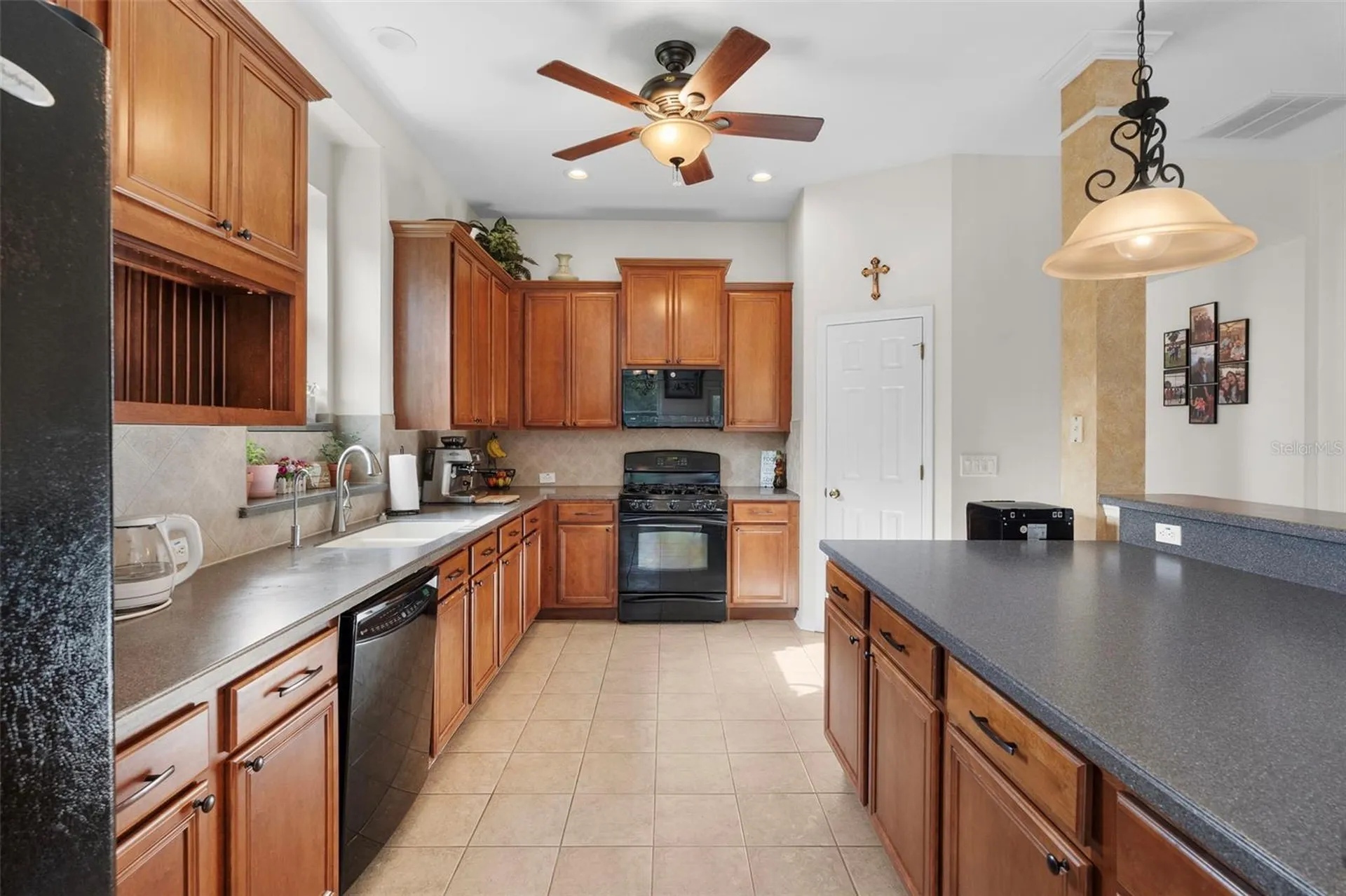 8434 Westerland Drive Land O Lakes FL 34637