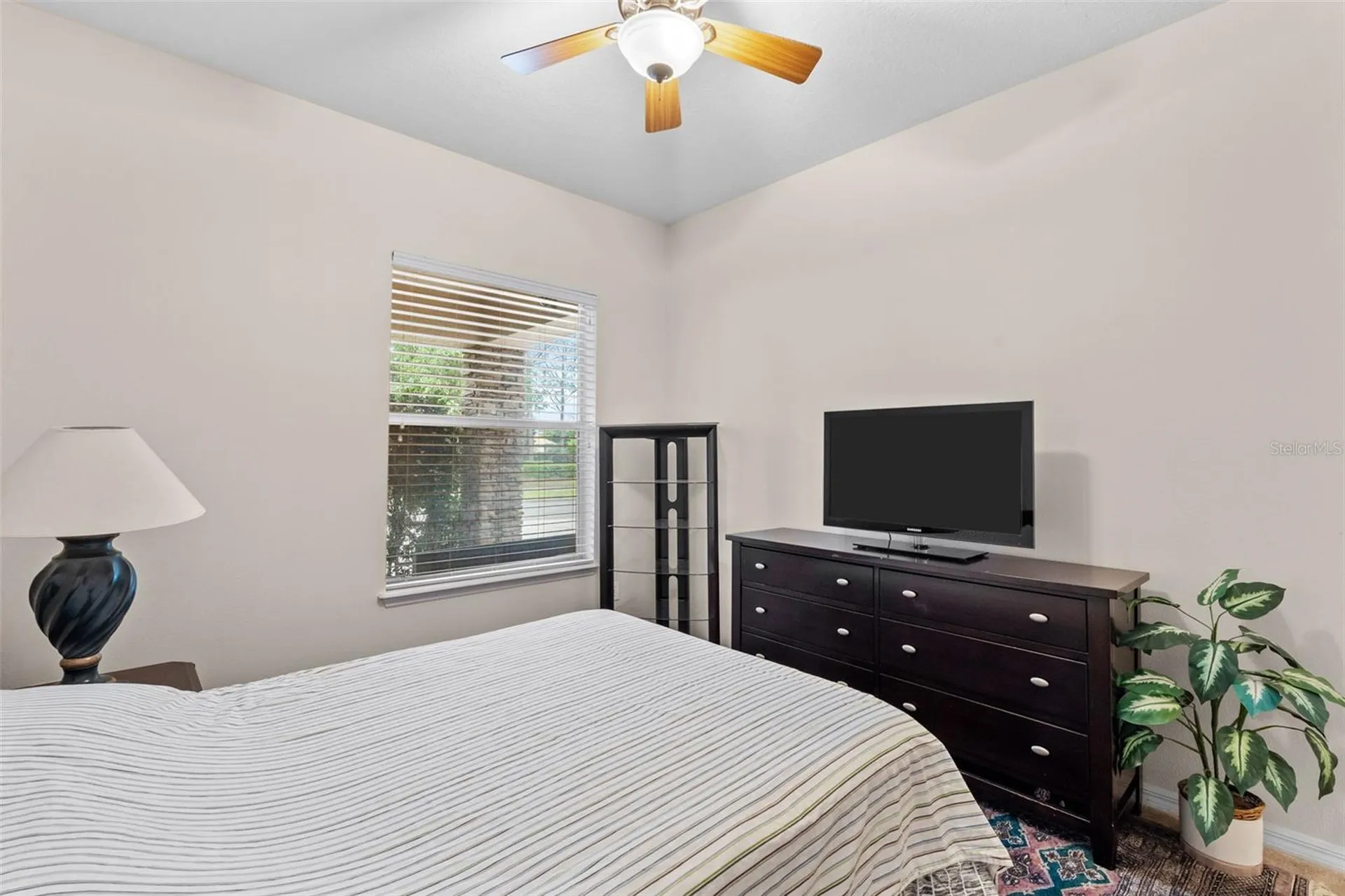 8434 Westerland Drive Land O Lakes FL 34637