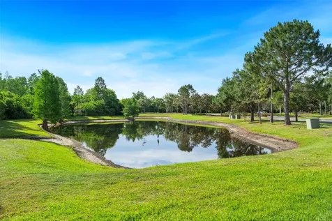 8434 Westerland Drive Land O Lakes FL 34637