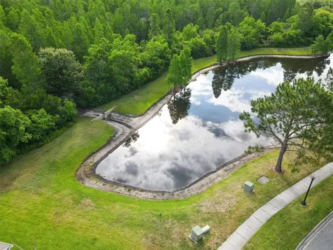 8434 Westerland Drive Land O Lakes FL 34637
