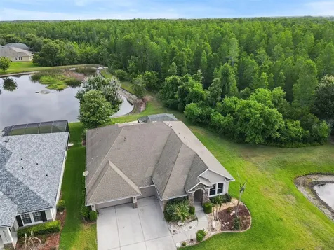 8434 Westerland Drive Land O Lakes FL 34637