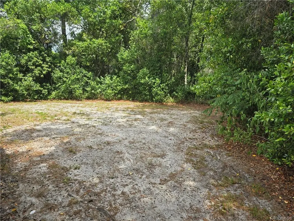 1 Holly Court Homosassa FL 34446