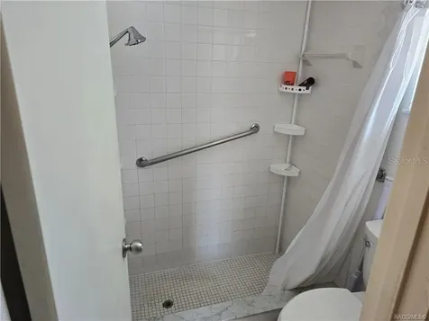 1 Holly Court Homosassa FL 34446