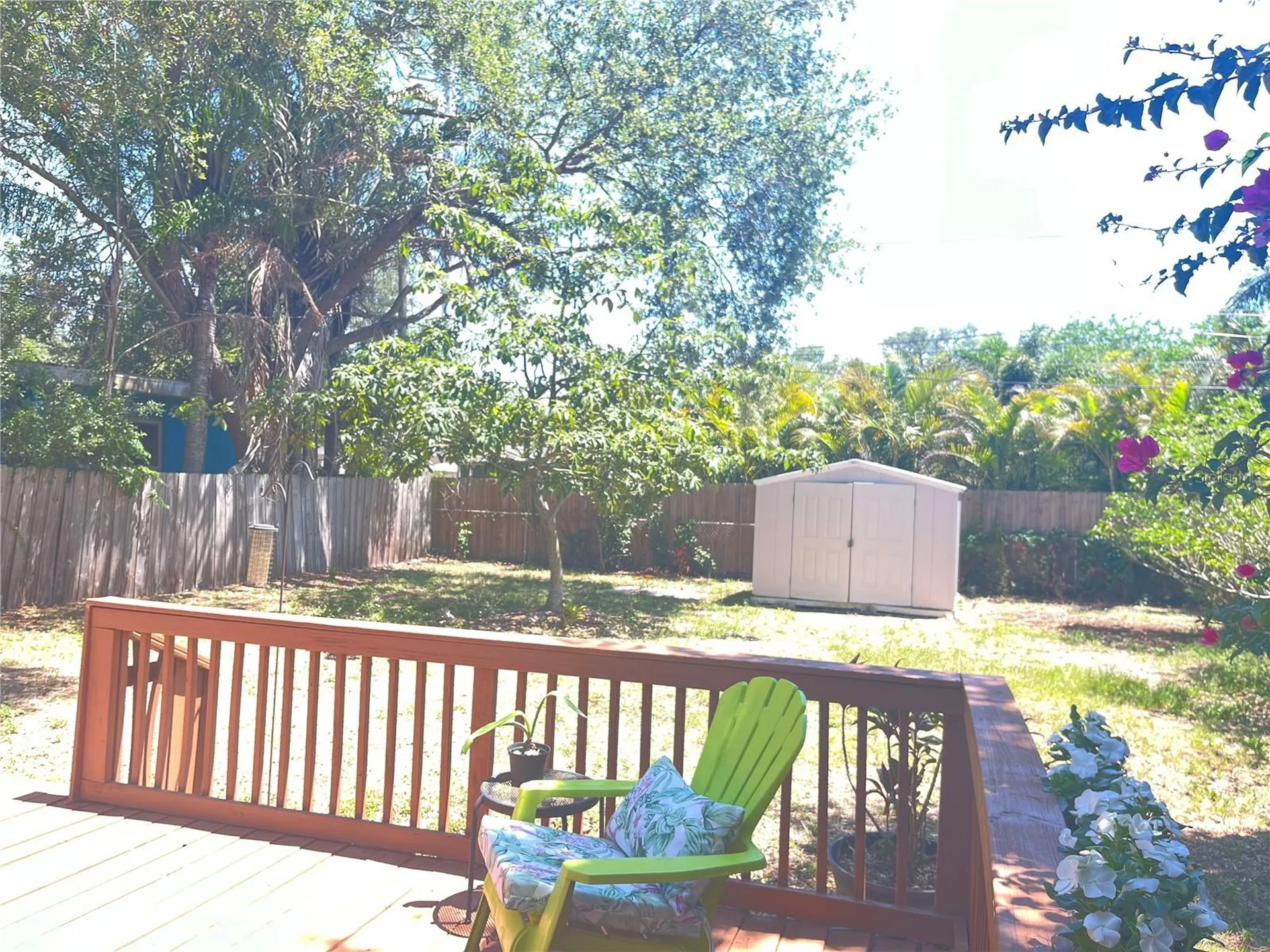 551 Orangewood Drive Dunedin FL 34698