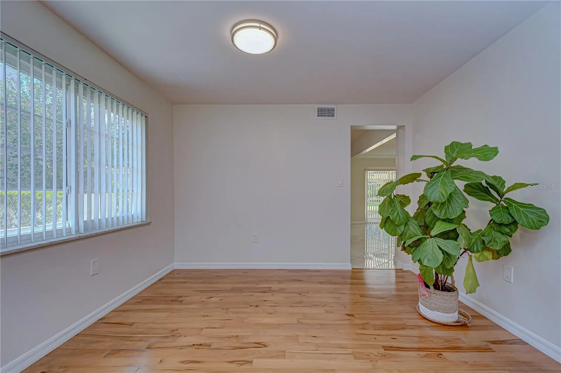 11912 Riverhills Drive Tampa FL 33617