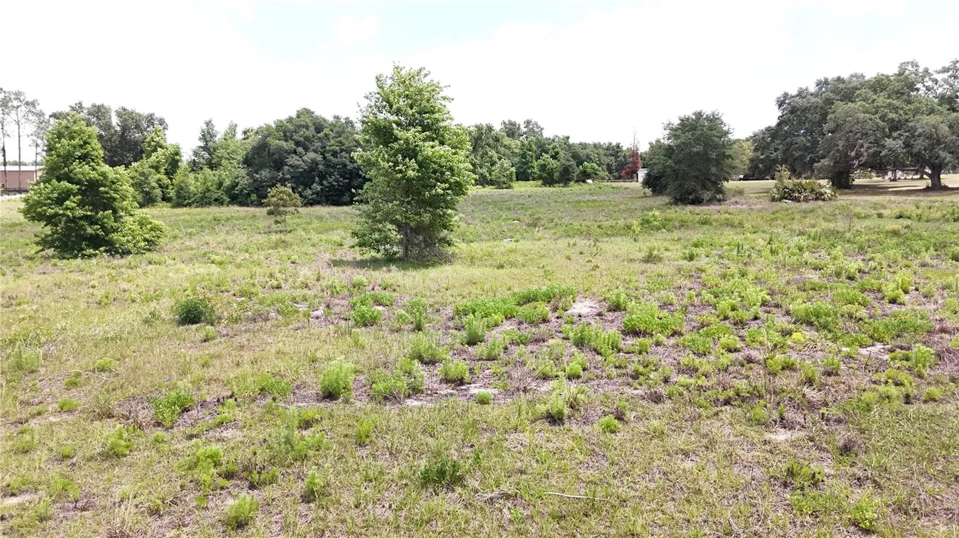 Sonoma Ridge Road Clermont FL 34715